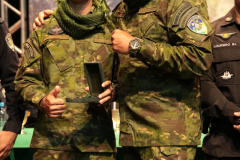 DCM18151