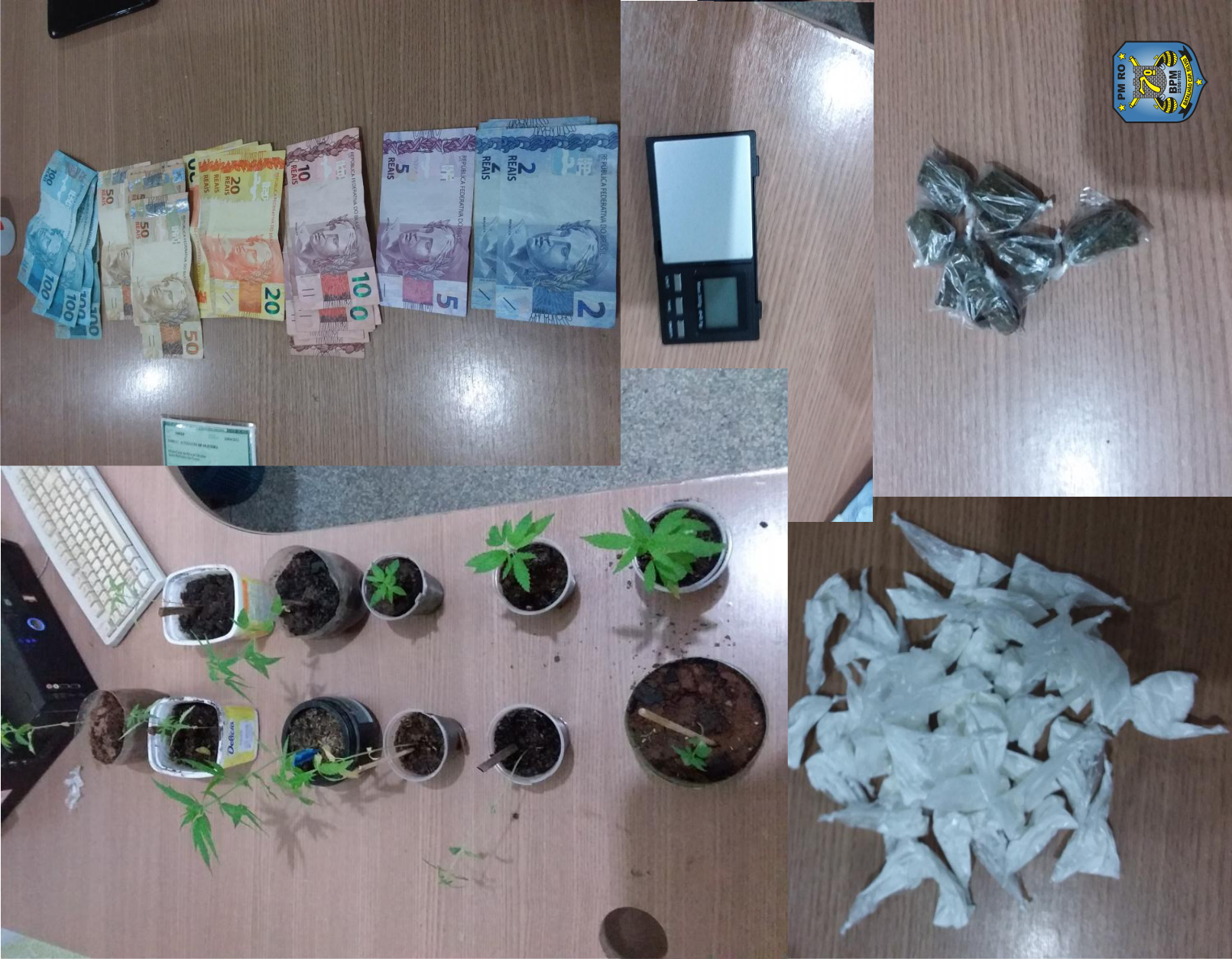 22-06 Polícia militar apreende 12 mudas de maconha e porções de cocaína em Ariquemes 1