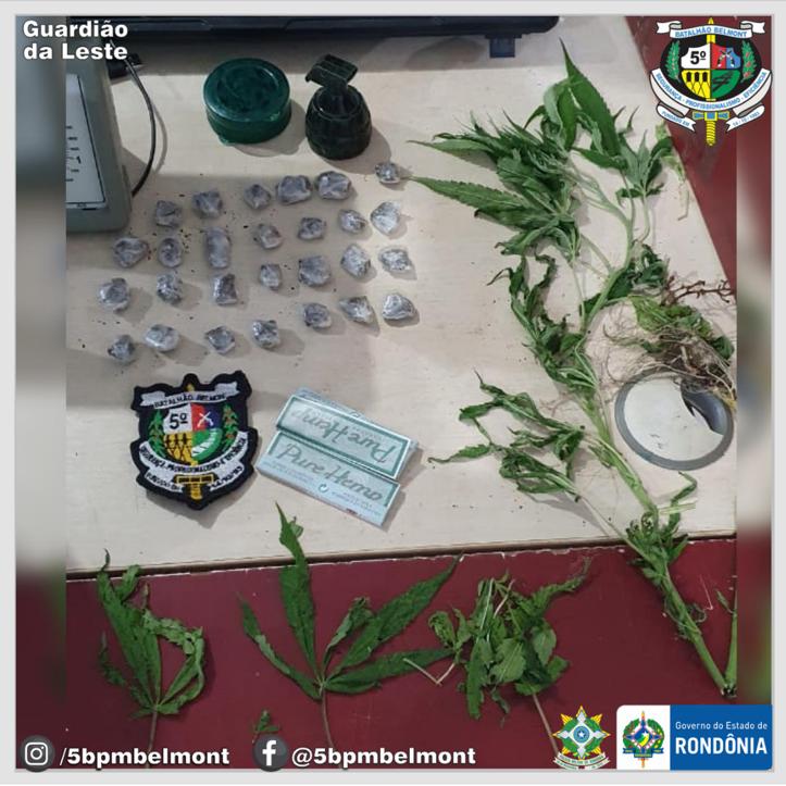 5º BPM prende homem e apreende drogas e pés de maconha