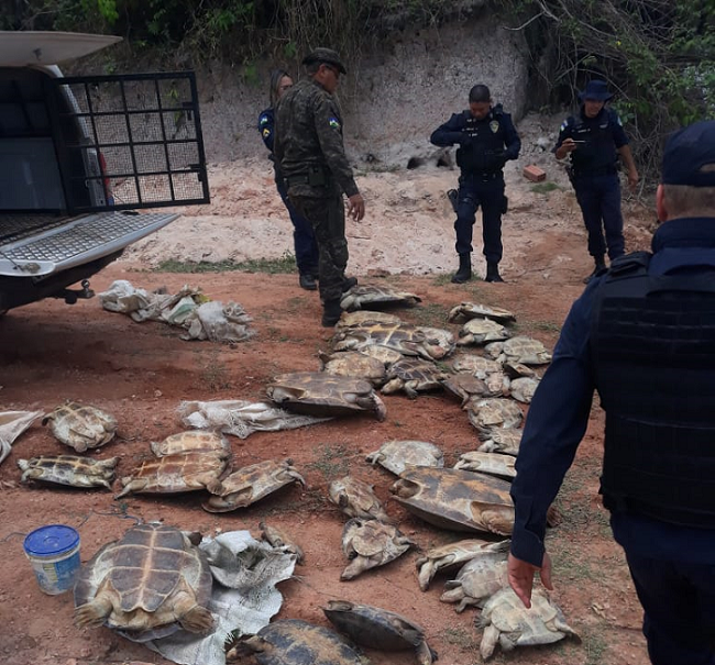 Operação Términus I